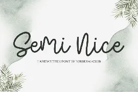 Semi nice font