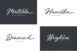 Southernia - An Elegant Script font