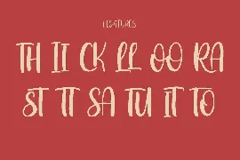 Spiceland Handwritten Display Font