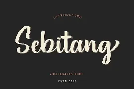 Sebitang Calligraphy Font