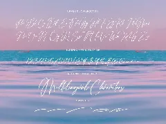 Tropical Harmony Script Font