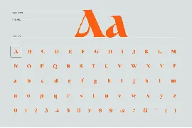 Avango Display Serif font