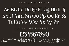 Modern Luxury Display Font