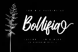 Bollifia Handwritten Script Font