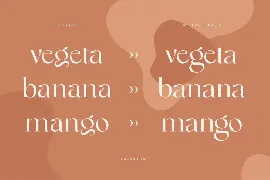 Sugar - Gorgeous Modern Font