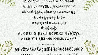 Random Ink font