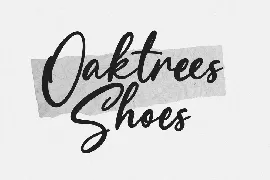 Oaktrys Handwritten Script Font