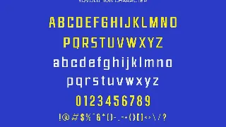 Edvolution - Modern Sans Serif font