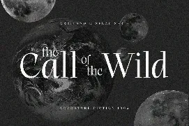 Ardiland | Elegant Serif font