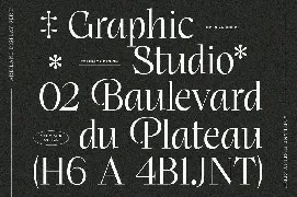 Ardiland | Elegant Serif font