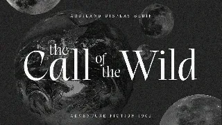 Ardiland | Elegant Serif font