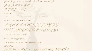 Arolse Belomonteria Duo Font Serif & Signature