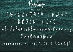 Hardness - Brush Script Font