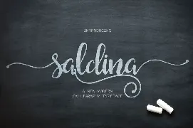 Saldina Script font