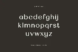 Nicoline Pavlina Modern Serif Font