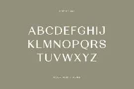 Nicoline Pavlina Modern Serif Font