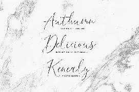 Dream Lavigne Modern Calligraphy Fonts