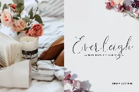 Dream Lavigne Modern Calligraphy Fonts