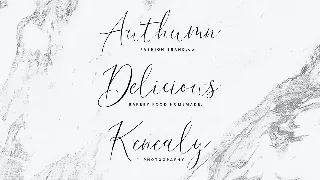 Dream Lavigne Modern Calligraphy Fonts