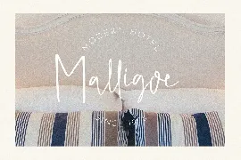 Malligoe - The Script Branding Font