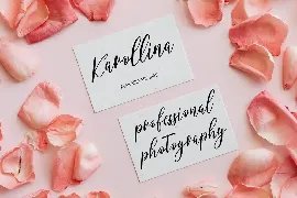 Lovesmilly Feminine Script Font