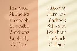 Orchidesta - Display Serif font