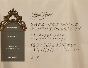 Fairyfiesta - Classic Elegant Copperplate Script font