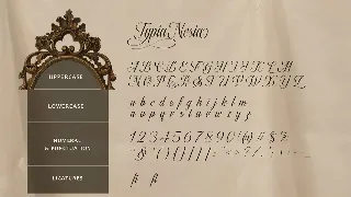 Fairyfiesta - Classic Elegant Copperplate Script font