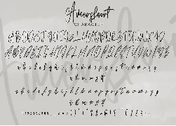 Amersfoort Calligraphy Font | 2 Version