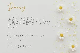 Daisy - Modern Script Font