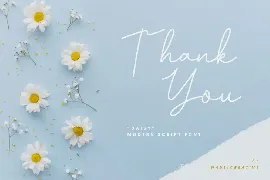 Daisy - Modern Script Font