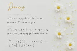 Daisy - Modern Script Font