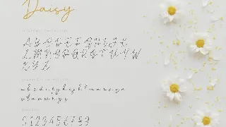 Daisy - Modern Script Font