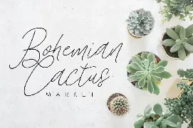 Stars & Rabit Script font