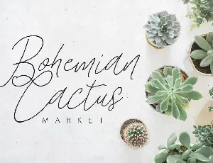 Stars & Rabit Script font