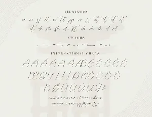 Tokushima Arigatou Modern Handwritten Font