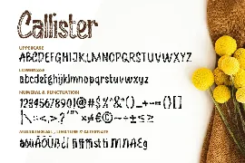 Callister font