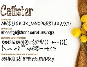 Callister font