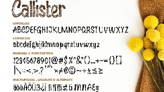 Callister font