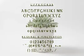 Alquinsha Serif Font