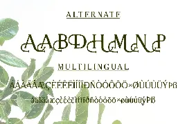 Alquinsha Serif Font