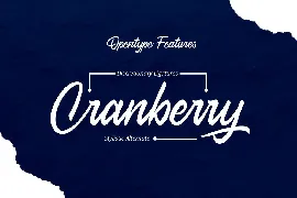 Crush Tease Script font