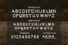 Waltham - Western Display Font