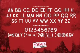 NORMIES - Sans Display Typeface font