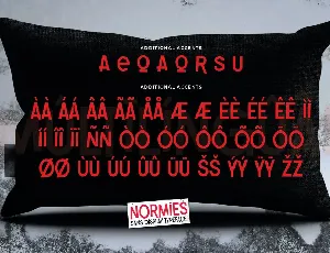 NORMIES - Sans Display Typeface font