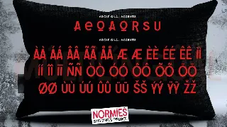 NORMIES - Sans Display Typeface font