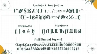 Studying - A Scribble Font Style