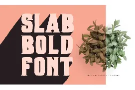 Boxer Typeface font