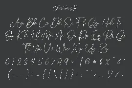 Astomia Duslons Handwritten Script Font