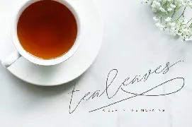 Samantha Signature Font